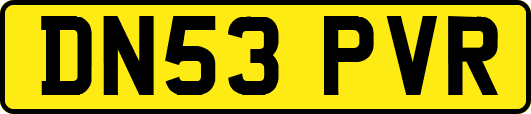 DN53PVR