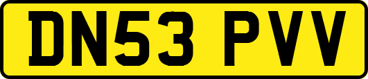 DN53PVV