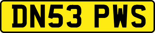 DN53PWS