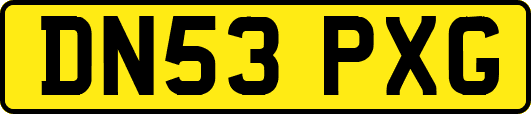 DN53PXG