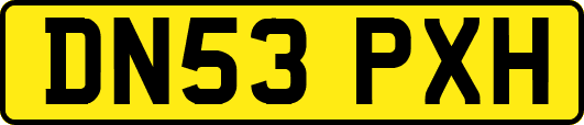 DN53PXH