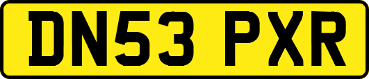 DN53PXR