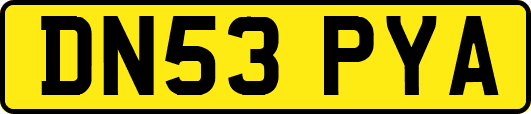 DN53PYA
