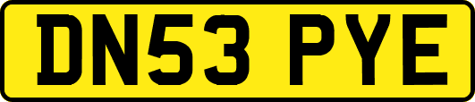 DN53PYE