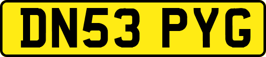 DN53PYG
