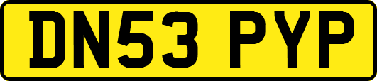DN53PYP