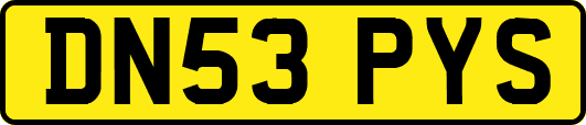 DN53PYS
