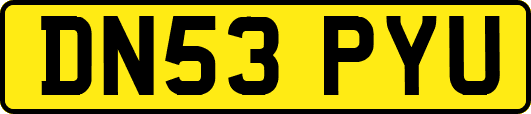 DN53PYU