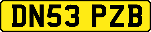 DN53PZB