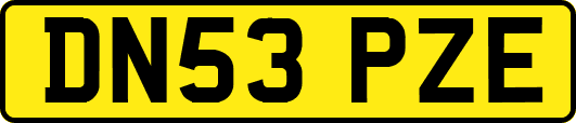 DN53PZE
