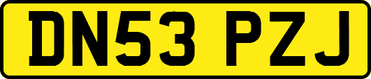 DN53PZJ