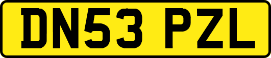 DN53PZL