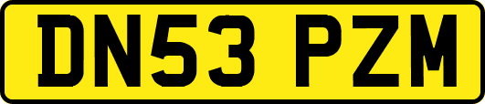 DN53PZM