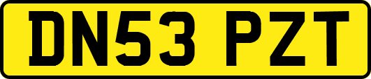 DN53PZT