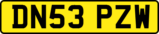 DN53PZW