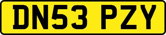 DN53PZY