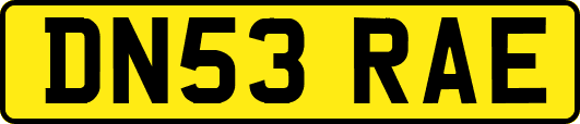 DN53RAE