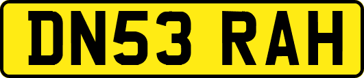 DN53RAH