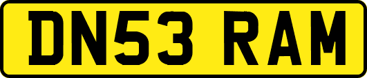 DN53RAM