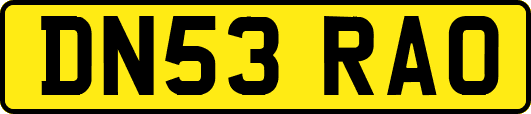 DN53RAO