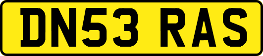 DN53RAS