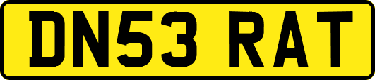 DN53RAT