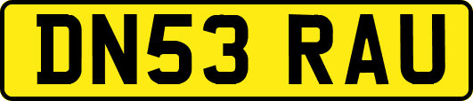 DN53RAU