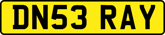 DN53RAY