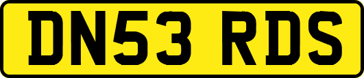 DN53RDS
