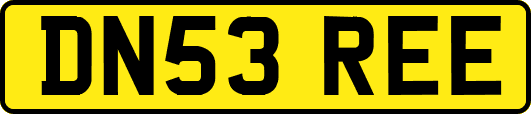 DN53REE