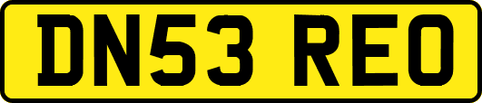 DN53REO