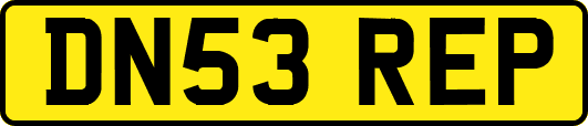 DN53REP