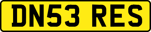 DN53RES