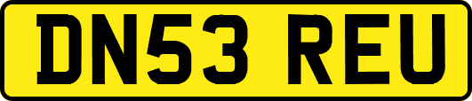DN53REU