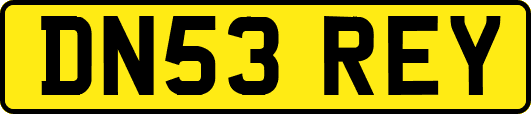 DN53REY
