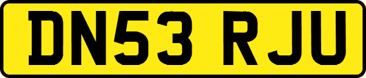 DN53RJU