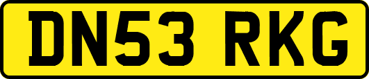 DN53RKG
