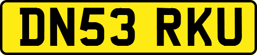 DN53RKU