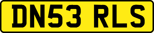 DN53RLS