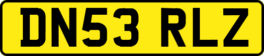 DN53RLZ