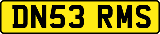 DN53RMS
