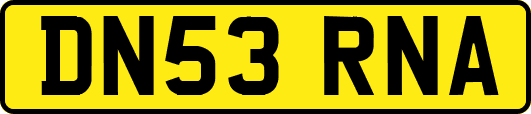DN53RNA