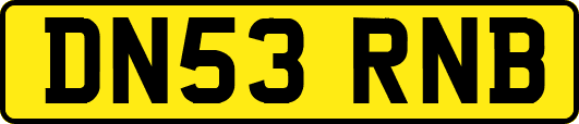 DN53RNB