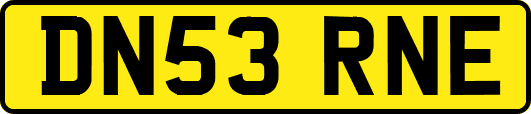DN53RNE