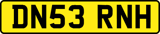 DN53RNH