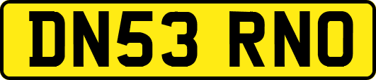 DN53RNO