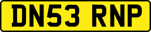DN53RNP