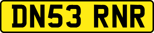 DN53RNR