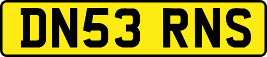 DN53RNS