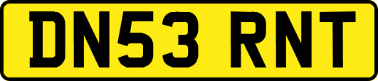 DN53RNT